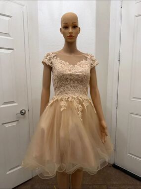 Lets Elegant Champagne Cream Lace Appliqué Rhinestone Voluminou Tulle Prom Dress